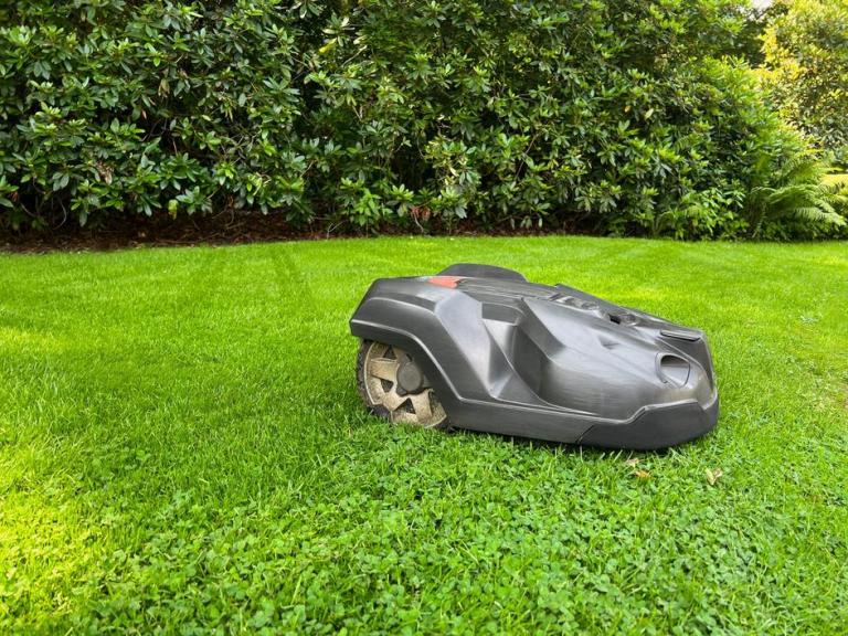 Installer un robot de tonte à Lons-le-Saunier : nos conseils pratiques